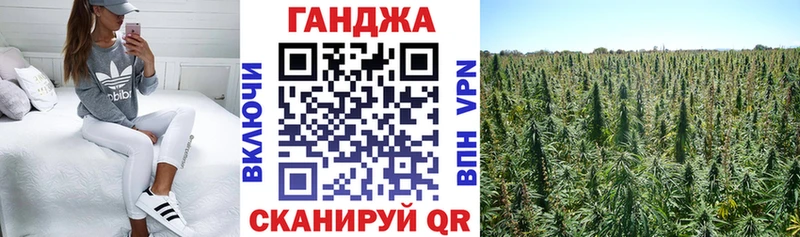 Шишки марихуана план  гидра tor  Ивантеевка 